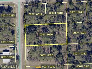 1620 Acacia AVE LEHIGH ACRES, FL 33972