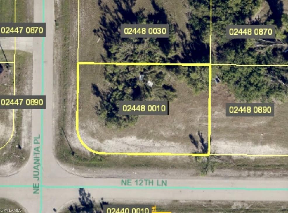 1217 NE Juanita PL CAPE CORAL, FL 33909