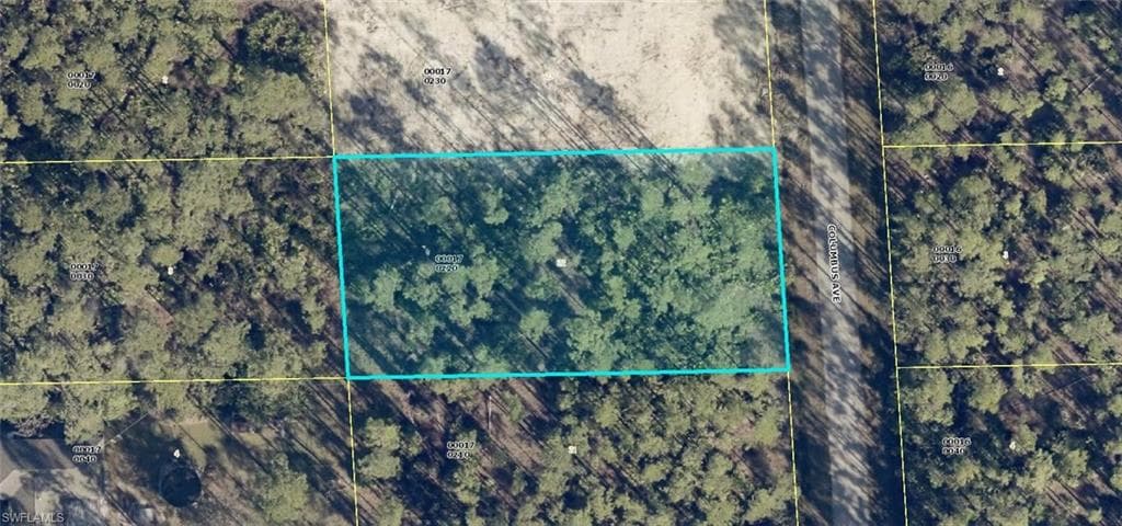 2119 Columbus AVE ALVA, FL 33920