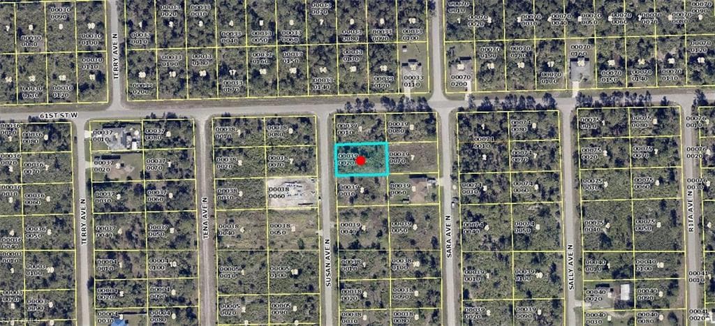 6014 Susan AVE N LEHIGH ACRES, FL 33971