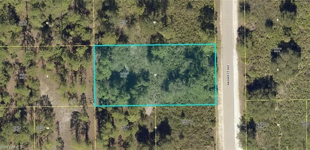 1703 Prospect AVE LEHIGH ACRES, FL 33972