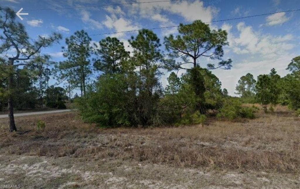 105 Pearson ST LEHIGH ACRES, FL 33974