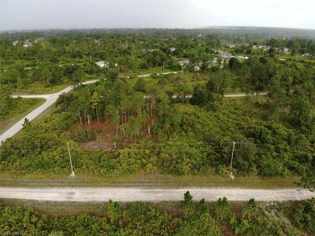 1139 Bayliss ST E LEHIGH ACRES, FL 33974