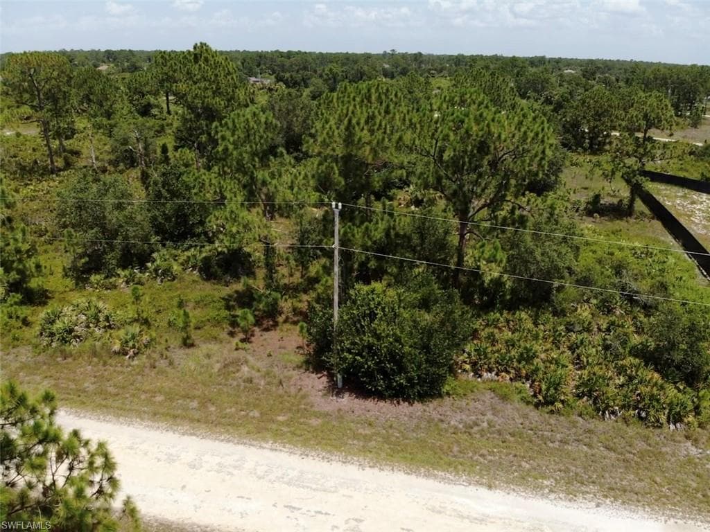1155 Bayliss ST E LEHIGH ACRES, FL 33974