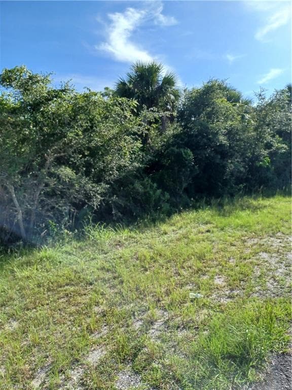 305 E 8th ST LEHIGH ACRES, FL 33936