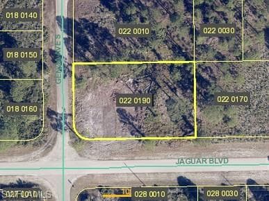 1105 Jaguar BLVD LEHIGH ACRES, FL 33974