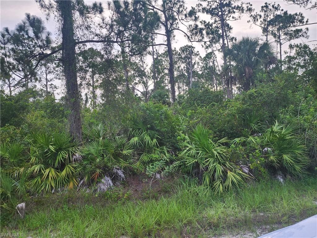 9 IRVING AVE LEHIGH ACRES, FL 33936