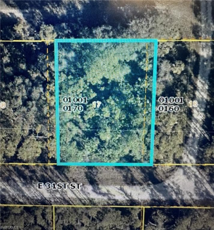 4219 31st ST ALVA, FL 33920