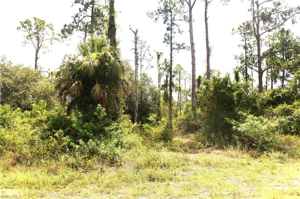 906 Leroy AVE LEHIGH ACRES, FL 33972