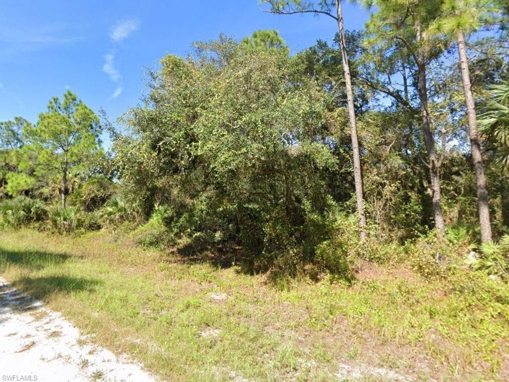 4211 E 31st ST ALVA, FL 33920
