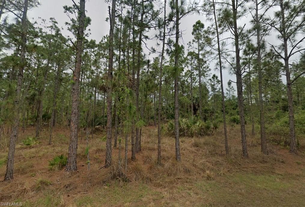 1115 Lincoln AVE LEHIGH ACRES, FL 33972