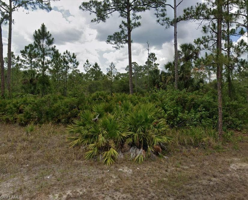 2115 Polar AVE ALVA, FL 33920