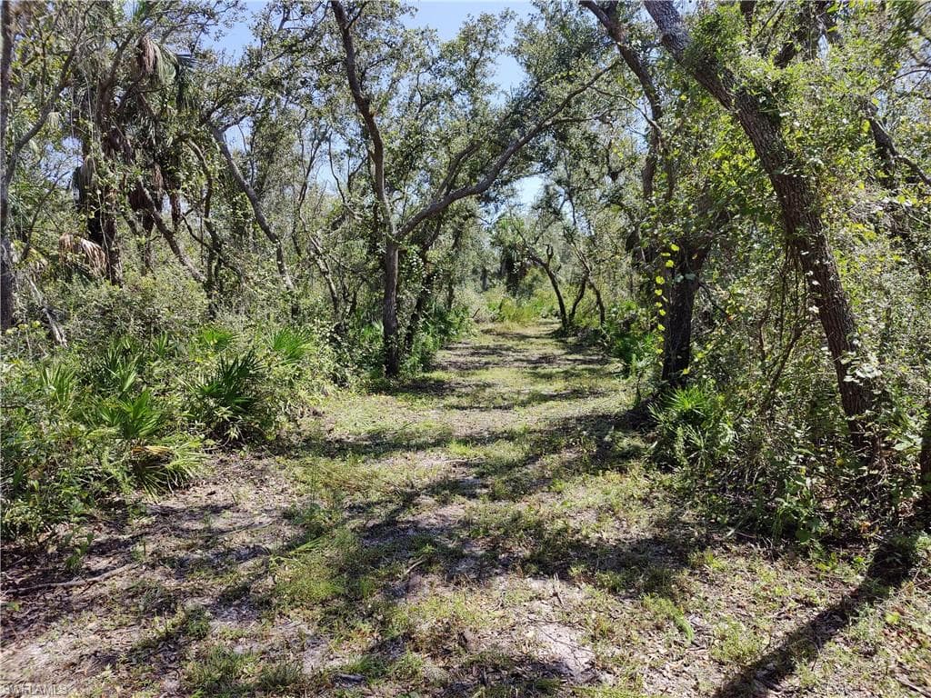 SW Horse Creek RD ARCADIA, FL 34266
