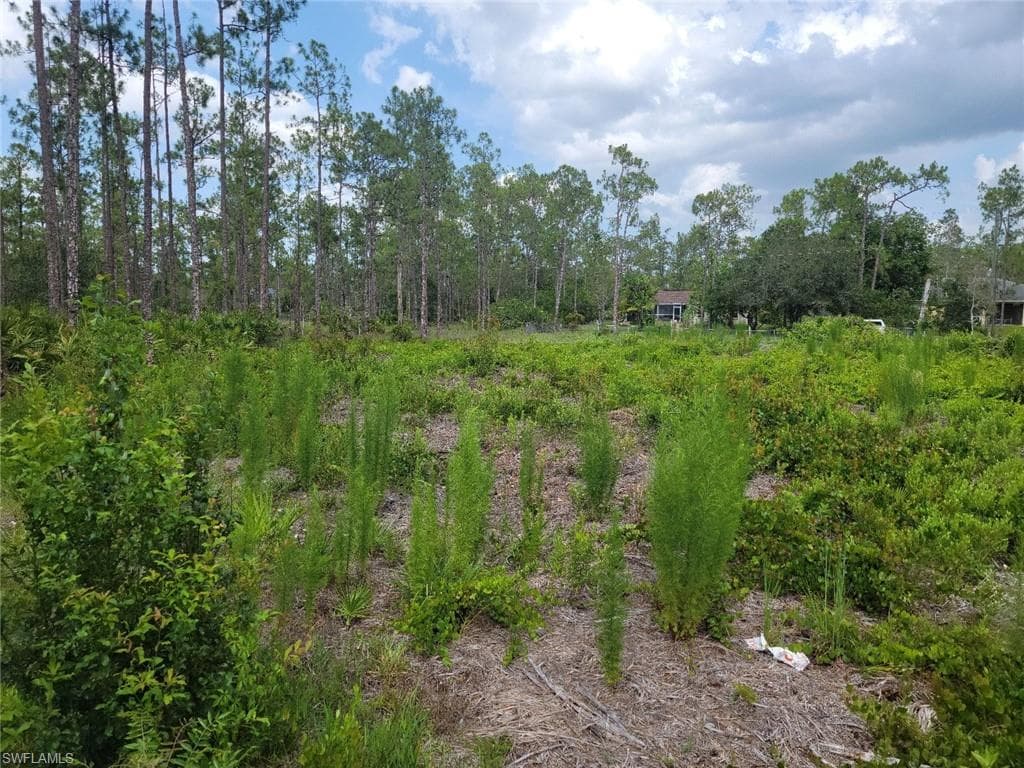 1314 Broadway AVE LEHIGH ACRES, FL 33972