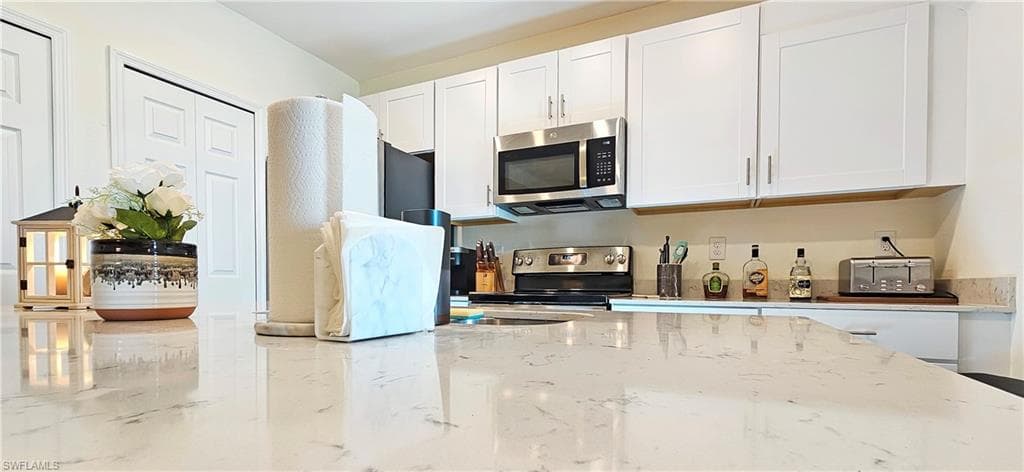 14029 Oviedo PL FORT MYERS, FL 33905