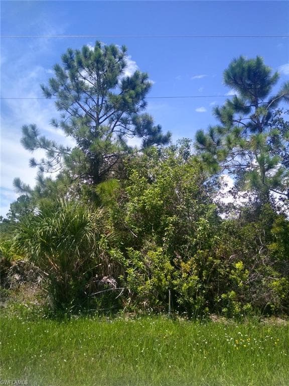 12442 Evelyn AVE PORT CHARLOTTE, FL 33981