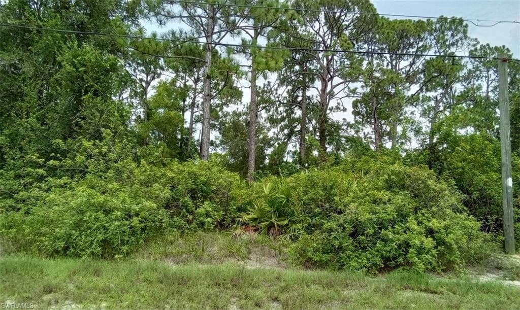 55 Douglas AVE S LEHIGH ACRES, FL 33976