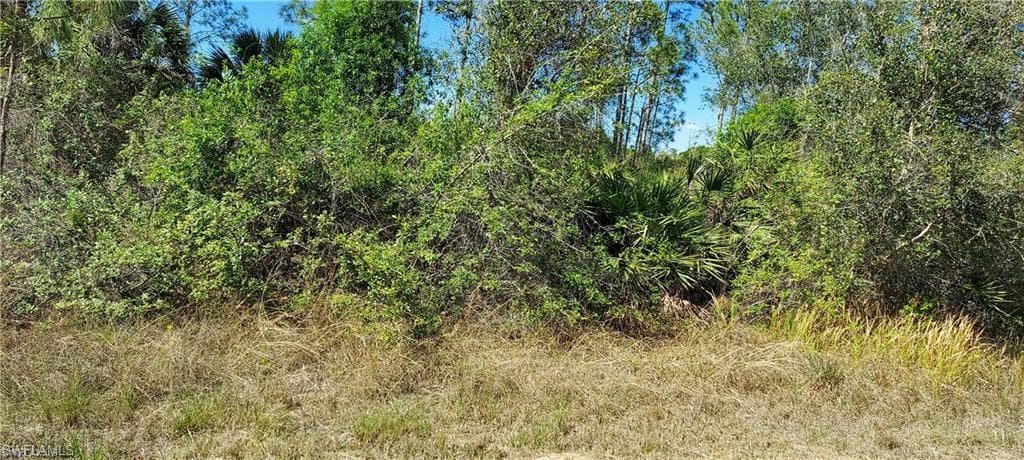 2105 Jefferson AVE ALVA, FL 33920