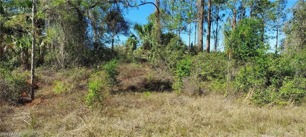 2107 Jefferson AVE ALVA, FL 33920