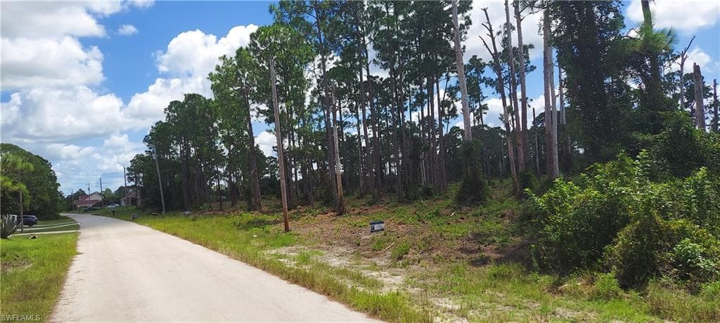718 Phelps ST E LEHIGH ACRES, FL 33974