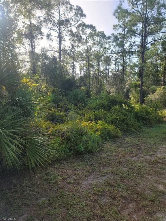 2317 Johns AVE ALVA, FL 33920