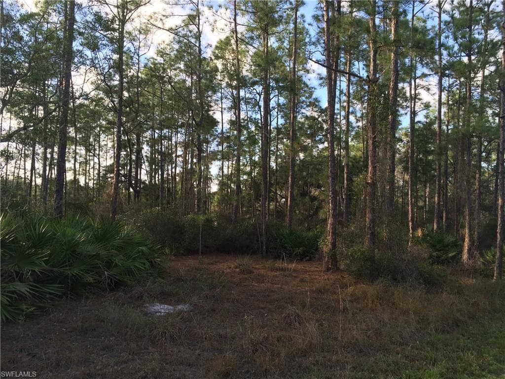 2211 Canton AVE ALVA, FL 33920