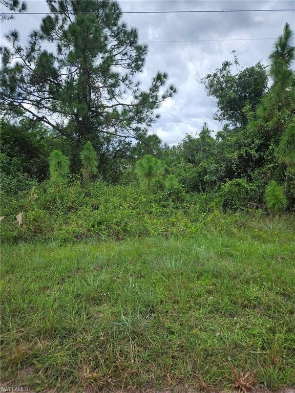 950 Candlelight DR LEHIGH ACRES, FL 33974