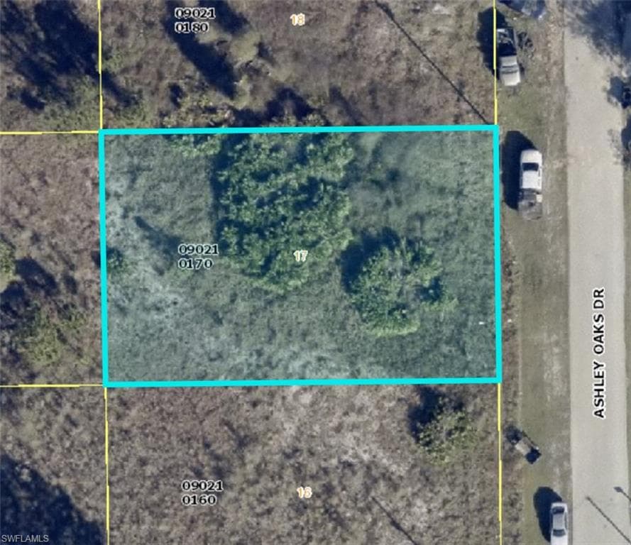 941 Ashley Oaks DR LEHIGH ACRES, FL 33974