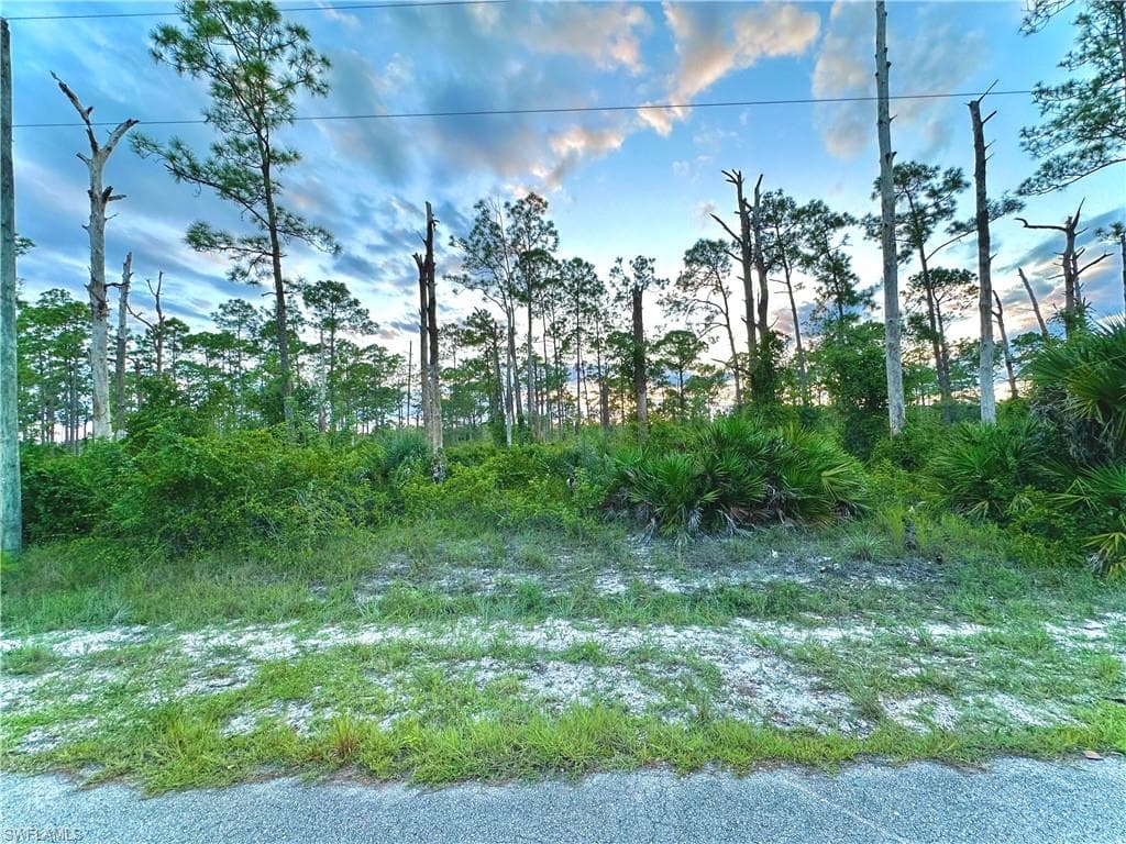 1429 Lincoln AVE LEHIGH ACRES, FL 33972
