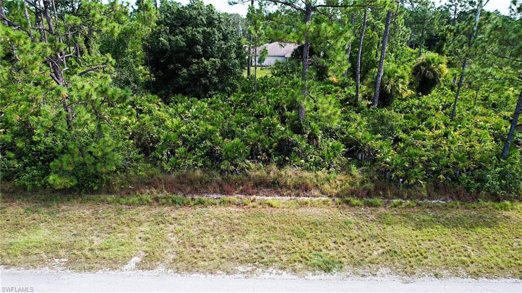 411 Eisenhower BLVD LEHIGH ACRES, FL 33974