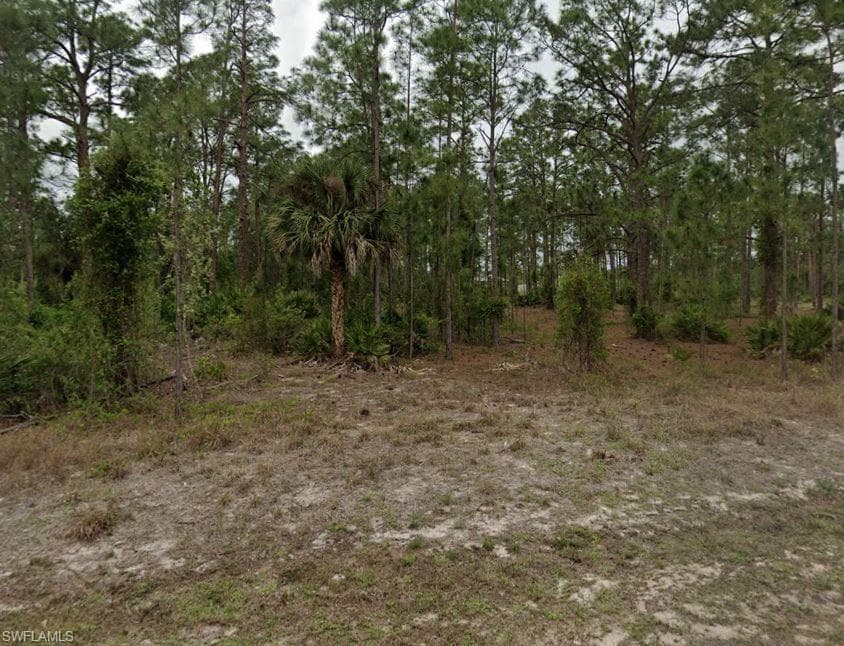 1103 Maple AVE N LEHIGH ACRES, FL 33972