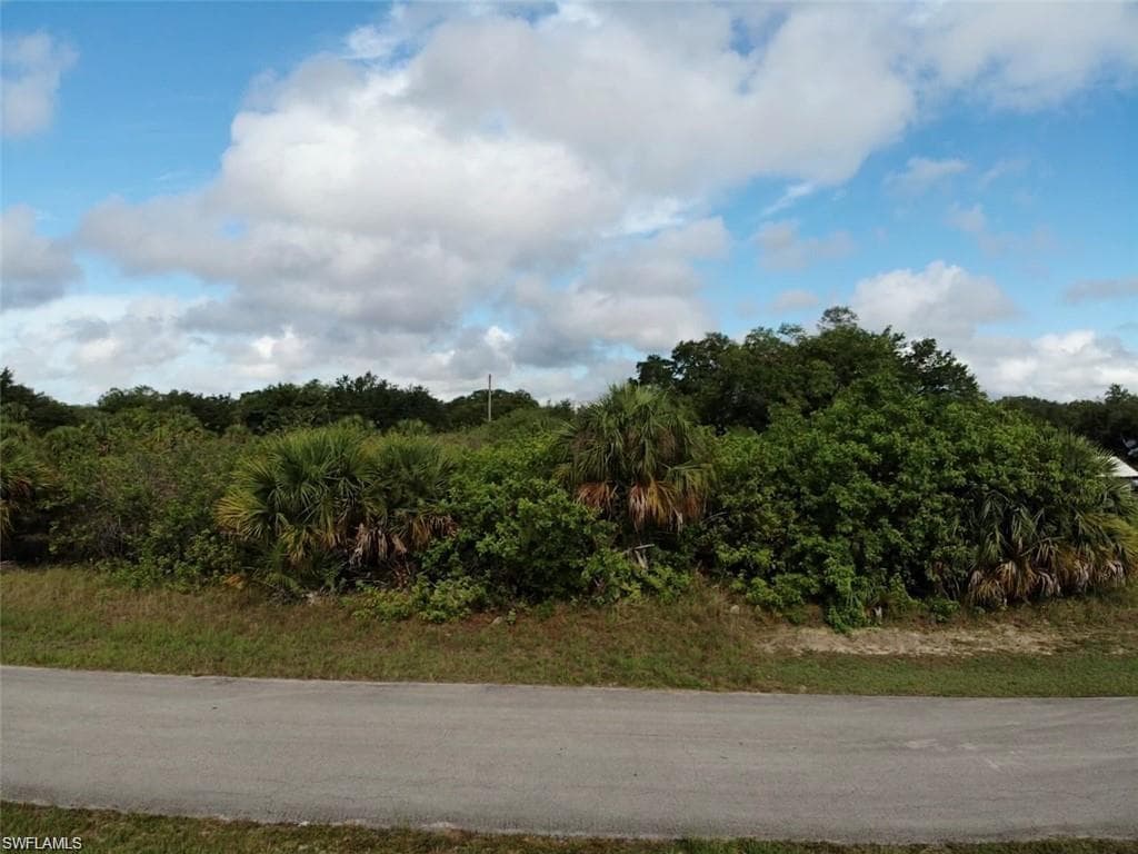 2311 Hines AVE ALVA, FL 33920
