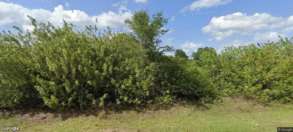 539 Long Island st E LEHIGH ACRES, FL 33974
