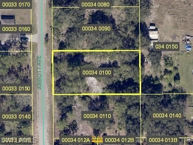 1004 Abbott AVE LEHIGH ACRES, FL 33972