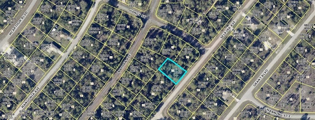350 Selkirk AVE LEHIGH ACRES, FL 33974