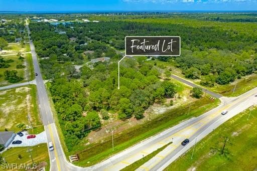 3206 Delilah DR CAPE CORAL, FL 33993