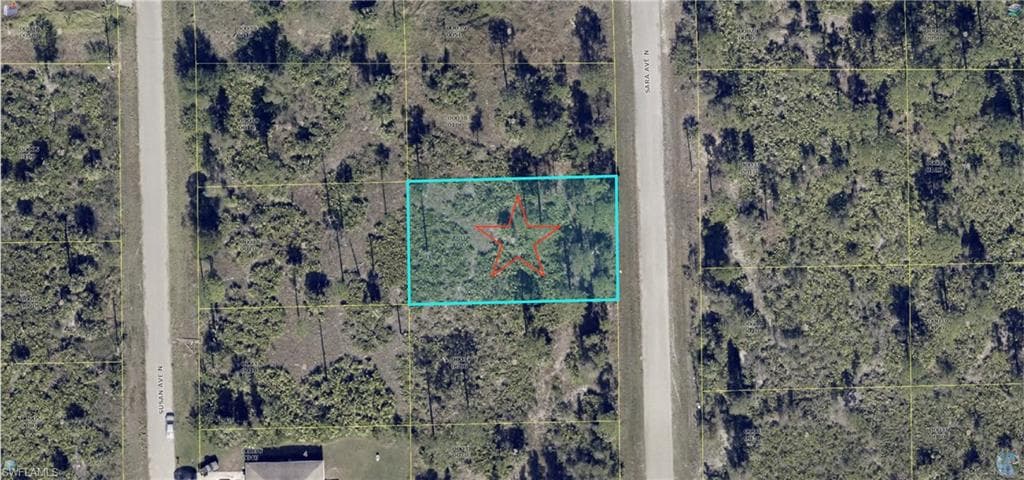 6007 Sara AVE N LEHIGH ACRES, FL 33971