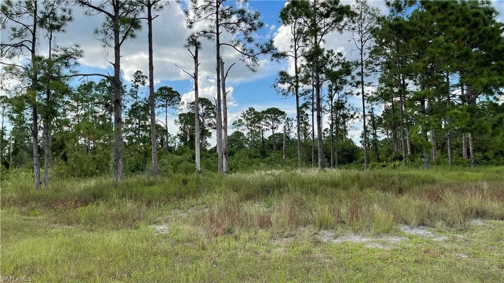 1021 Lakeside DR LEHIGH ACRES, FL 33974