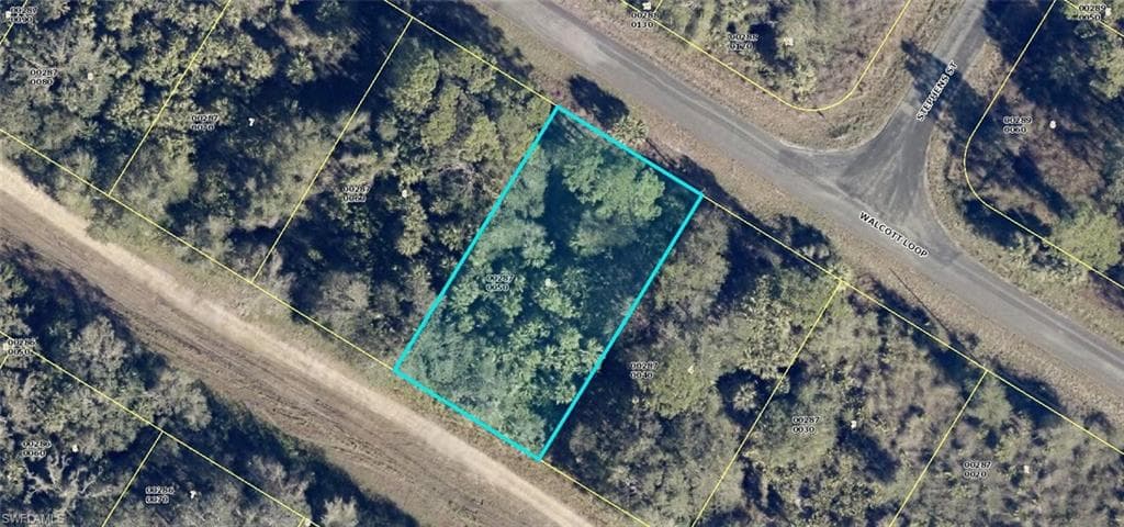 1919 Walcott LOOP LEHIGH ACRES, FL 33972