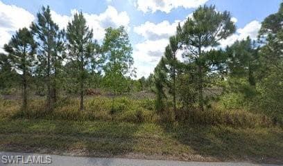1146 Holmes AVE S LEHIGH ACRES, FL 33974