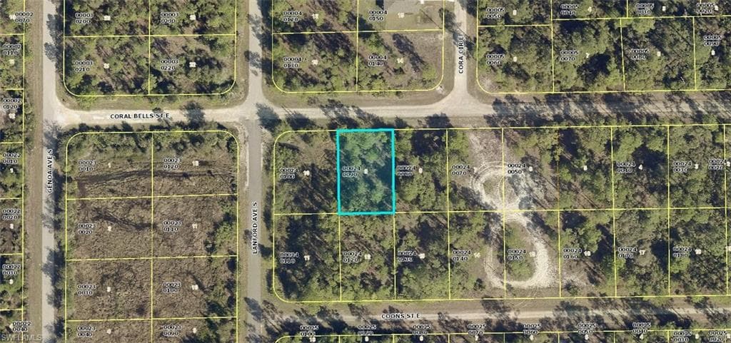 1116 Coral Bells ST E LEHIGH ACRES, FL 33974