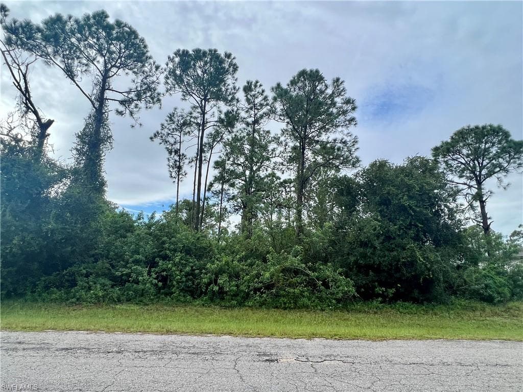 6006 Petal CT LABELLE, FL 33935