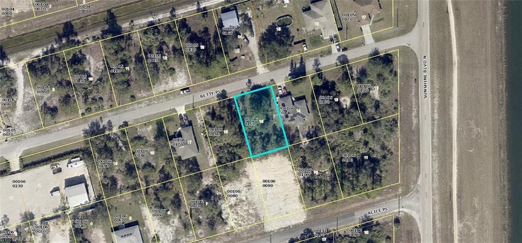 2507 Betty PL LEHIGH ACRES, FL 33971