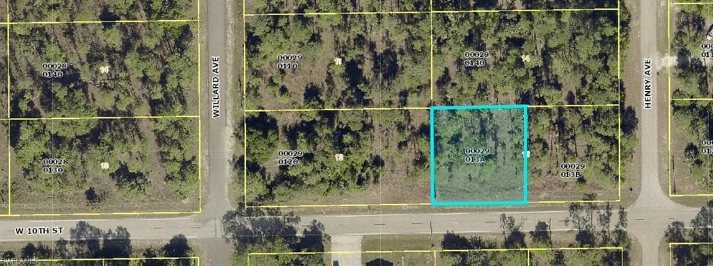 602 W 10th ST LEHIGH ACRES, FL 33972