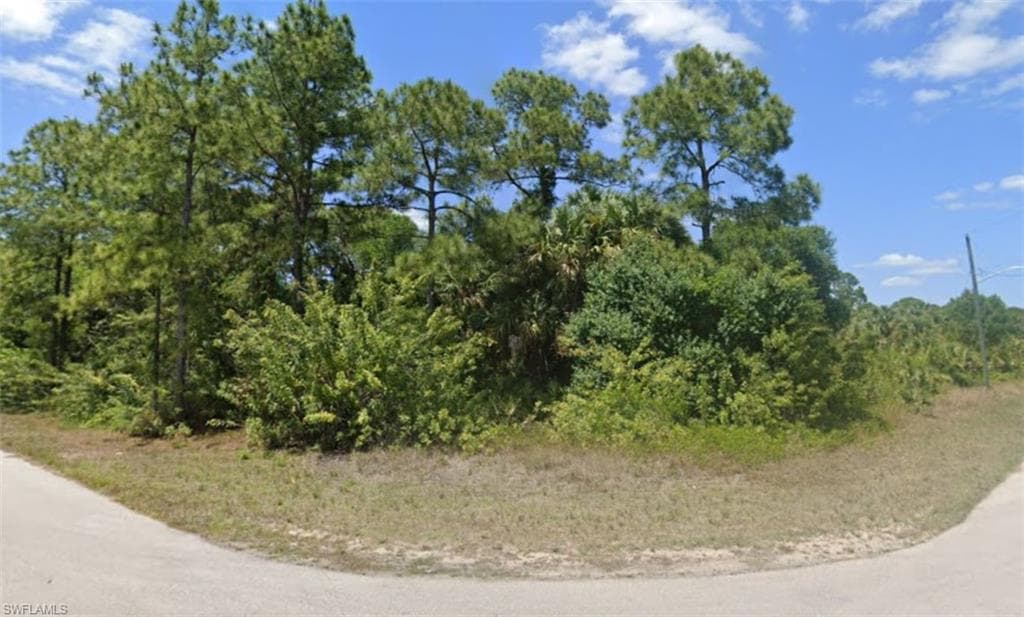 4707 Ruth AVE N LEHIGH ACRES, FL 33971