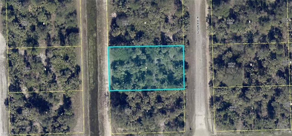 5903 Susan AVE N LEHIGH ACRES, FL 33971