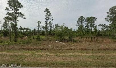 1120 Edelweiss ST E LEHIGH ACRES, FL 33974