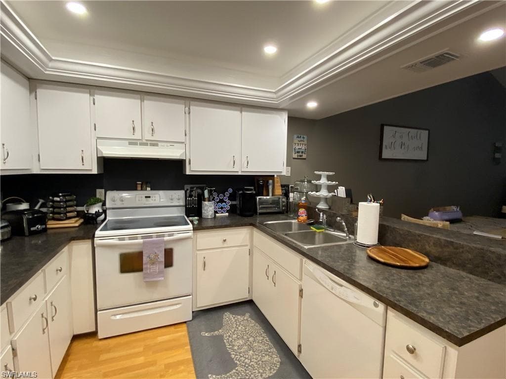 12941 Sandpoint CT FORT MYERS, FL 33919