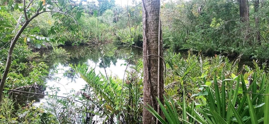 17011 Cypress Creek DR NORTH FORT MYERS, FL 33917