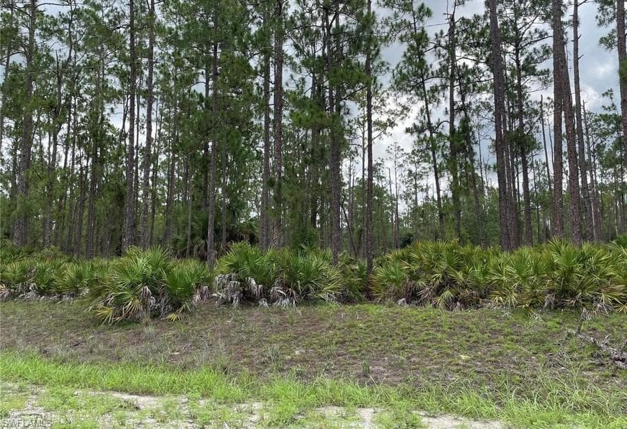 20 Wells AVE LEHIGH ACRES, FL 33936